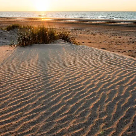 Ideal By The Sea Holiday home *